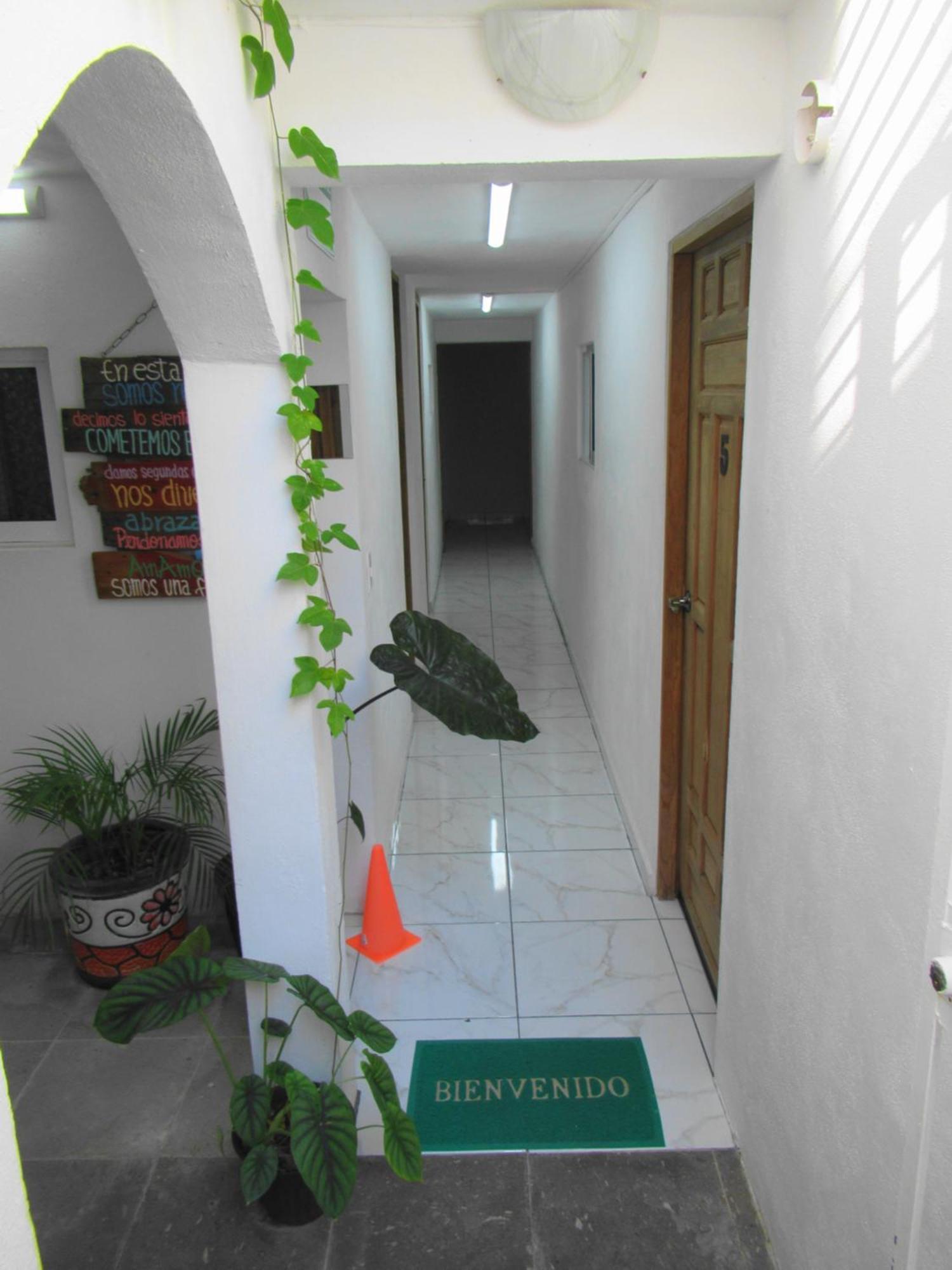 Cocos Apartment Канкун Екстериор снимка